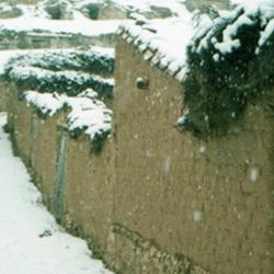 Nevada en las Hoyas