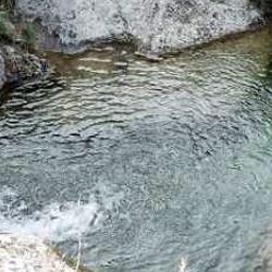 Pozo de Agua de Cihuela