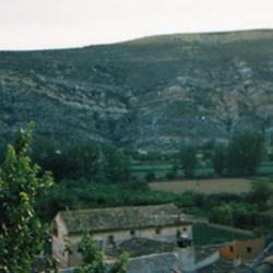 Tejado y Olmo