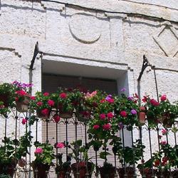 Balcón con Flores